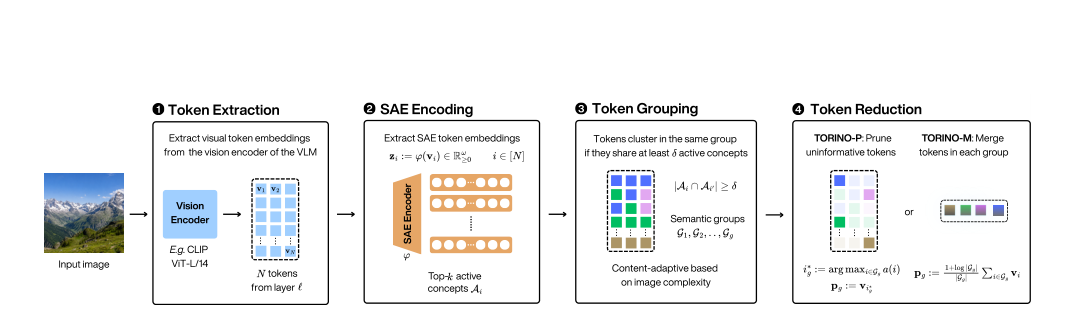 TORINO visual token reduction pipeline